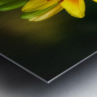 Brushed Metal Print