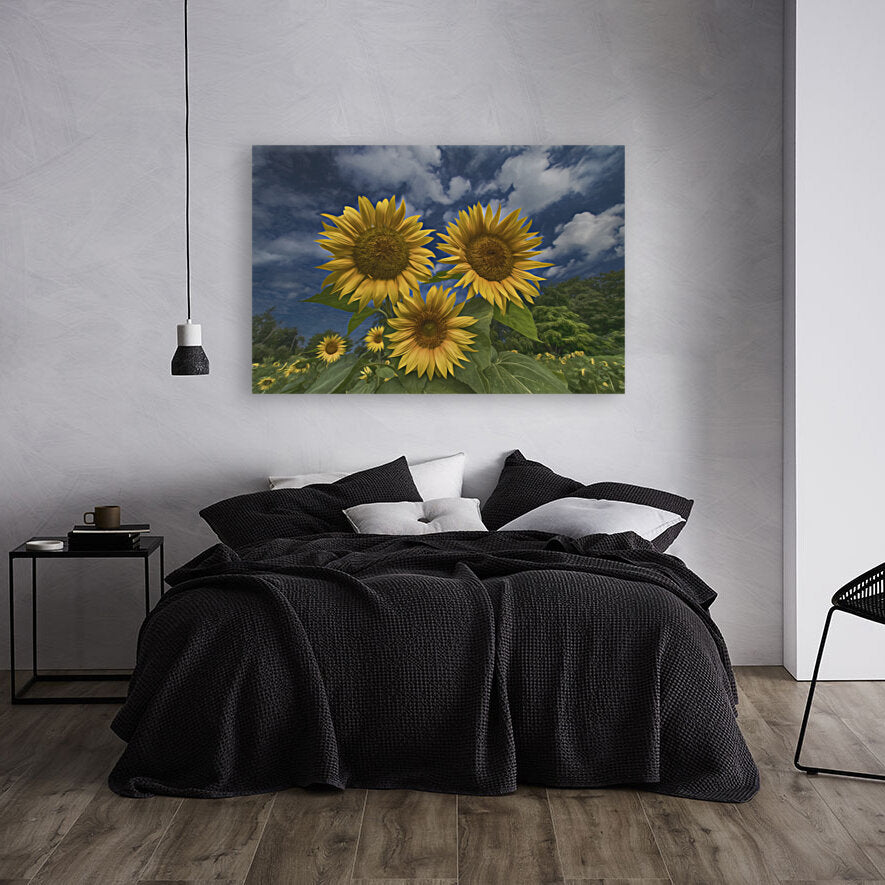 Giclée Stretched Canvas Print