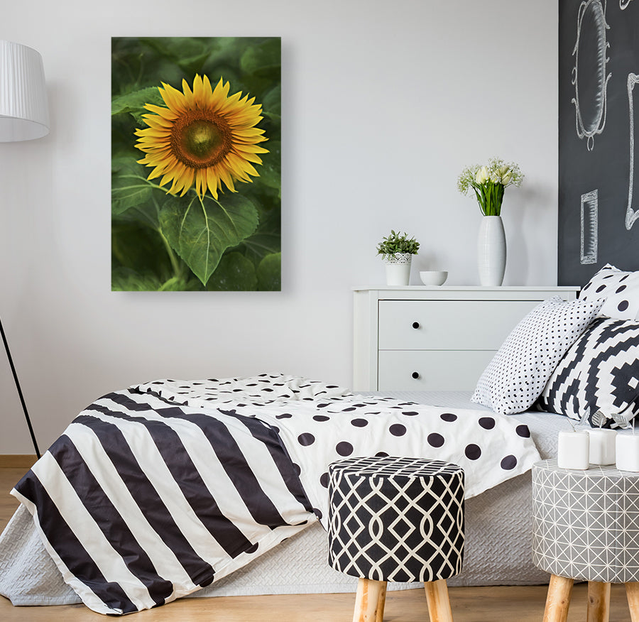 Giclée Stretched Canvas Print