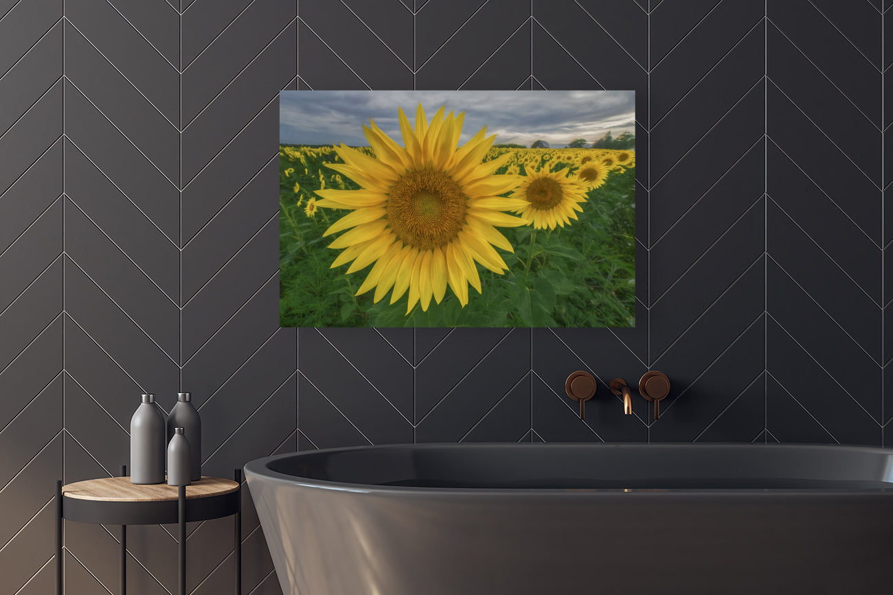 Giclée Stretched Canvas Print