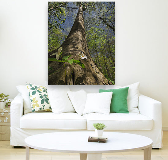 Giclée Stretched Canvas Print