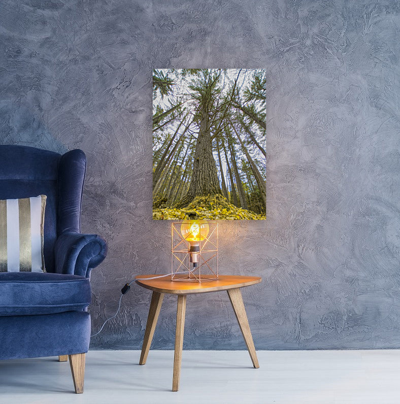 Giclée Stretched Canvas Print