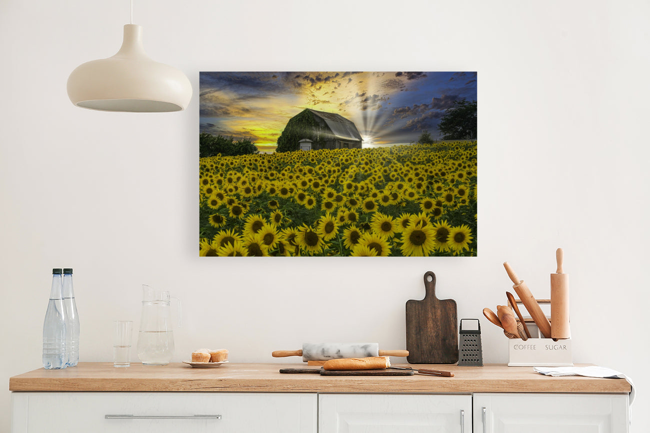 Giclée Stretched Canvas Print