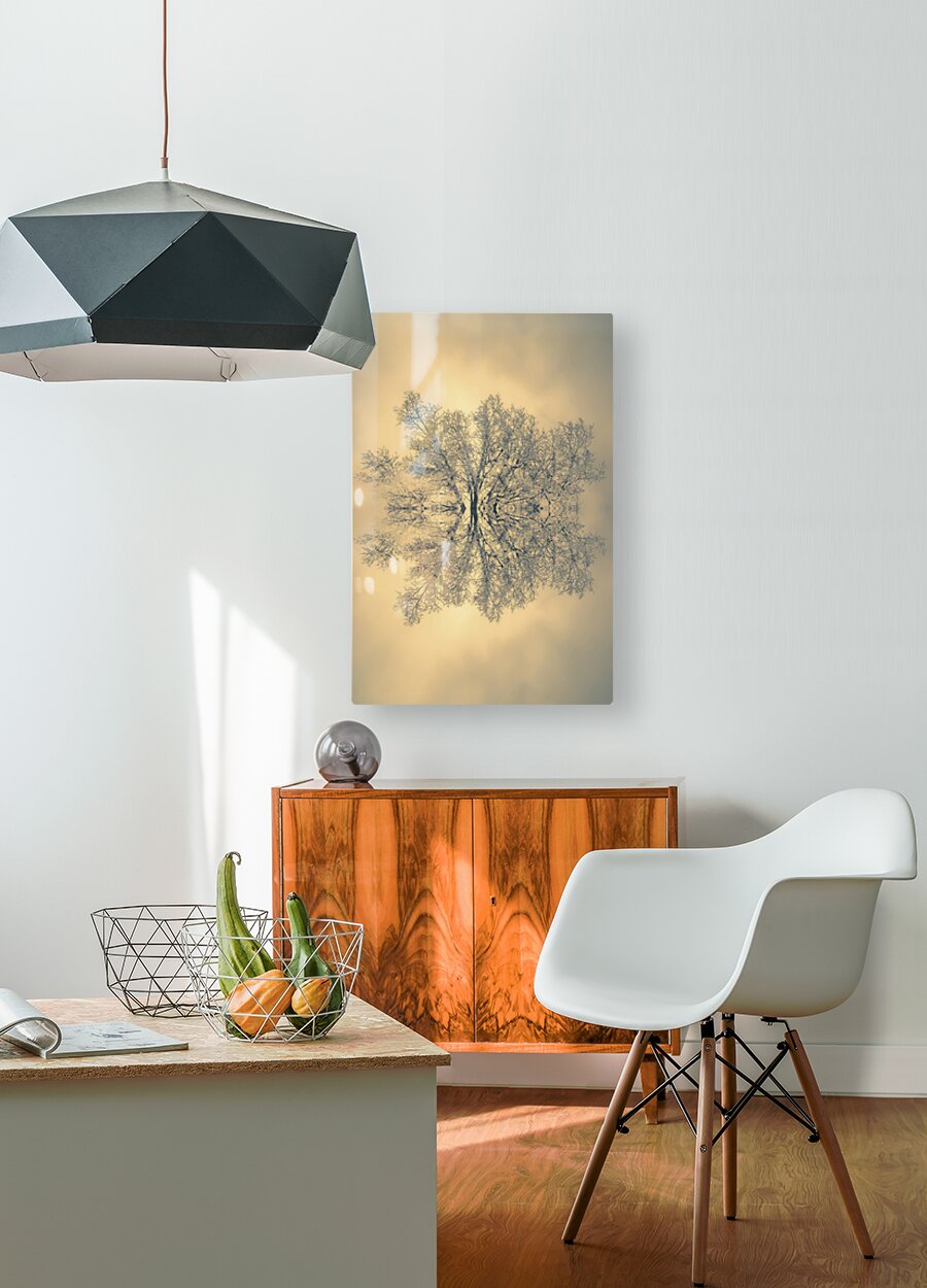 HD Sublimation Metal Print