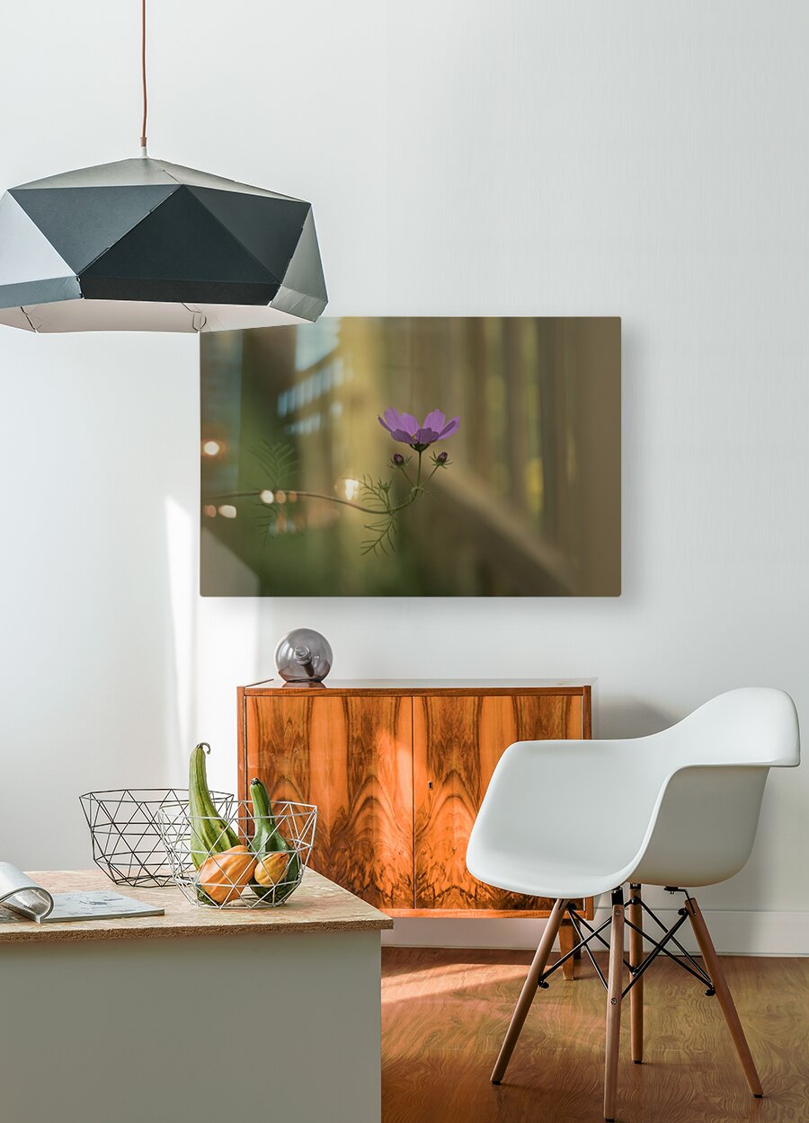 HD Sublimation Metal Print