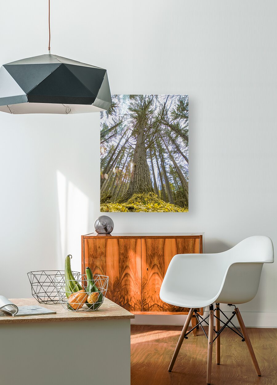HD Sublimation Metal Print