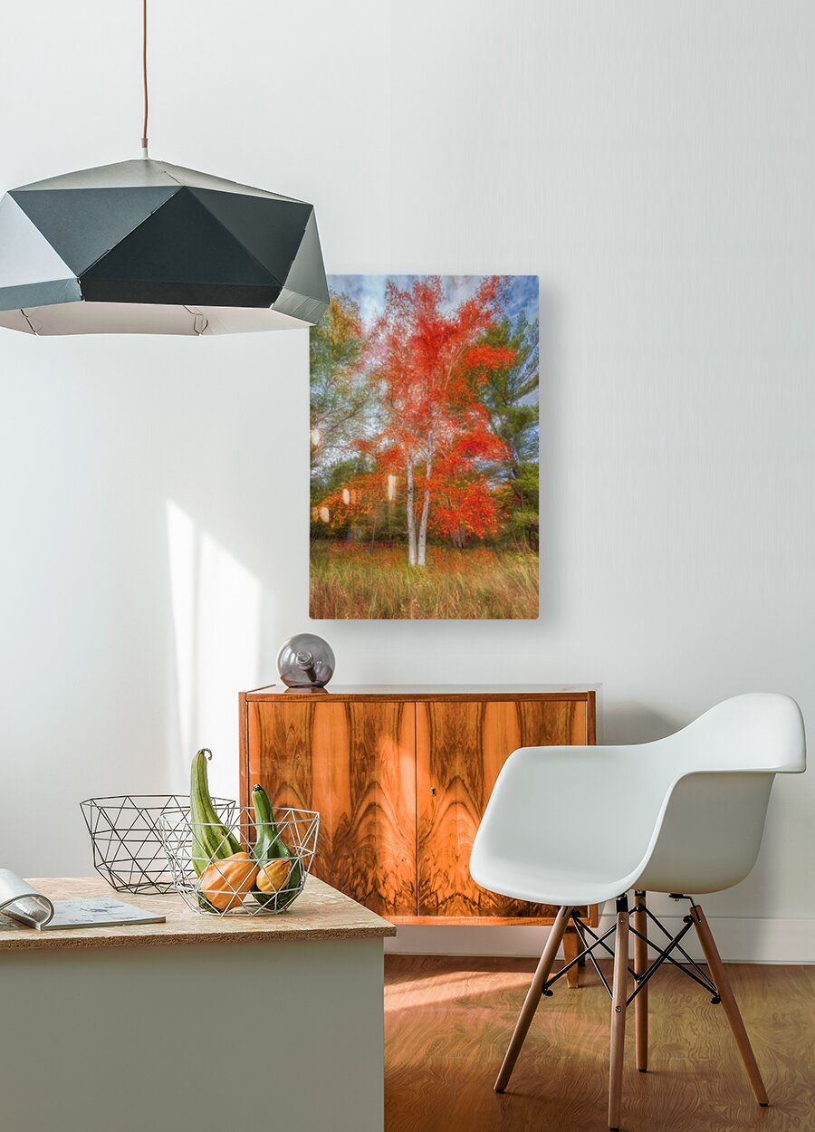 HD Sublimation Metal Print