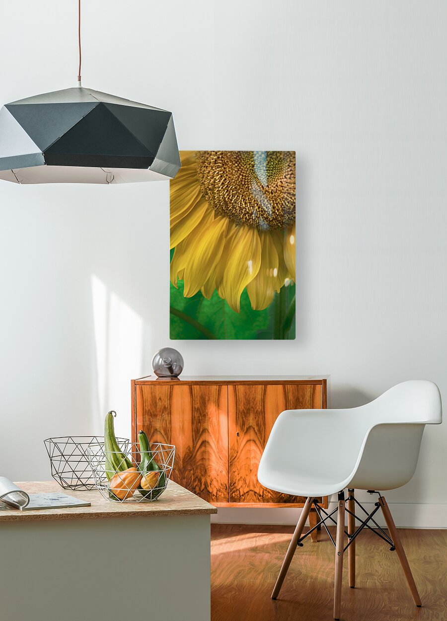 HD Sublimation Metal Print