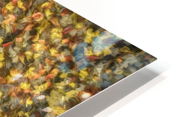 HD Sublimation Metal Print