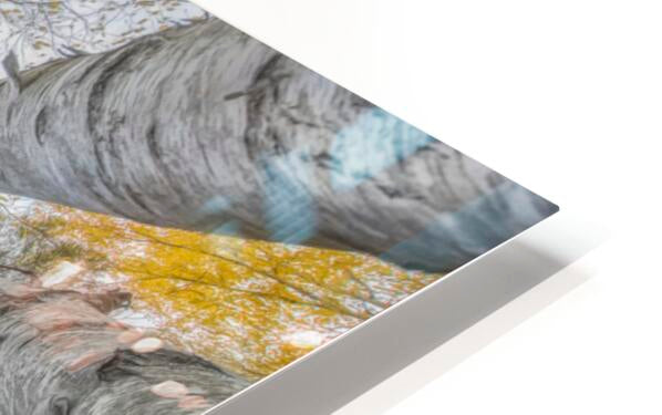 HD Sublimation Metal Print