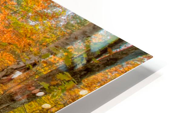 HD Sublimation Metal Print