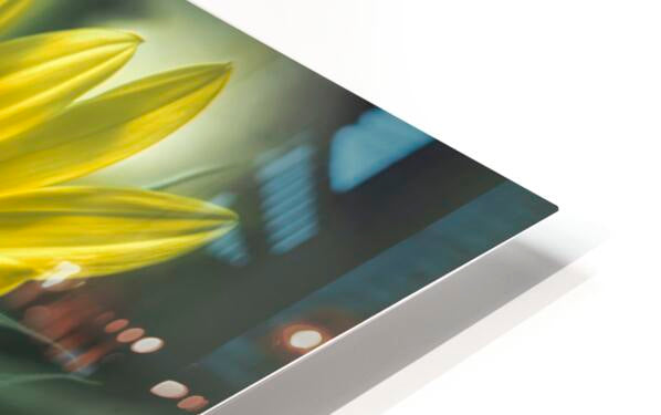 HD Sublimation Metal Print