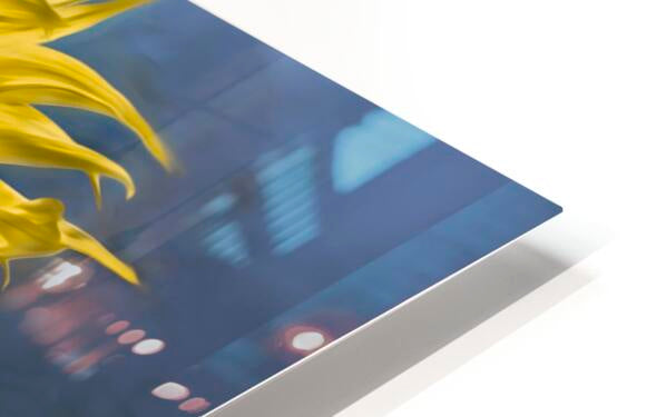 HD Sublimation Metal Print