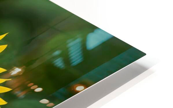 HD Sublimation Metal Print