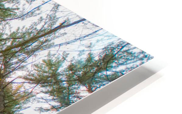 HD Sublimation Metal Print