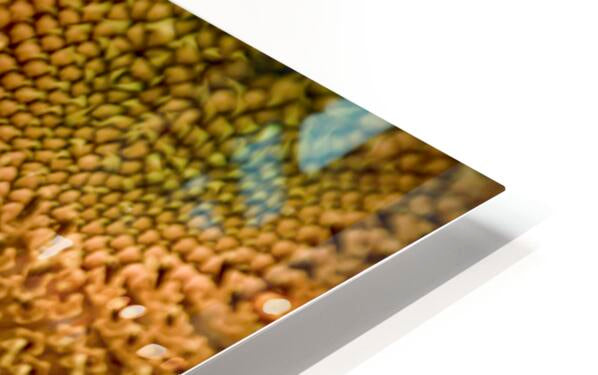 HD Sublimation Metal Print