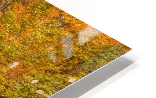 HD Sublimation Metal Print