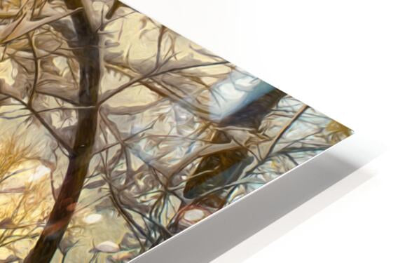 HD Sublimation Metal Print