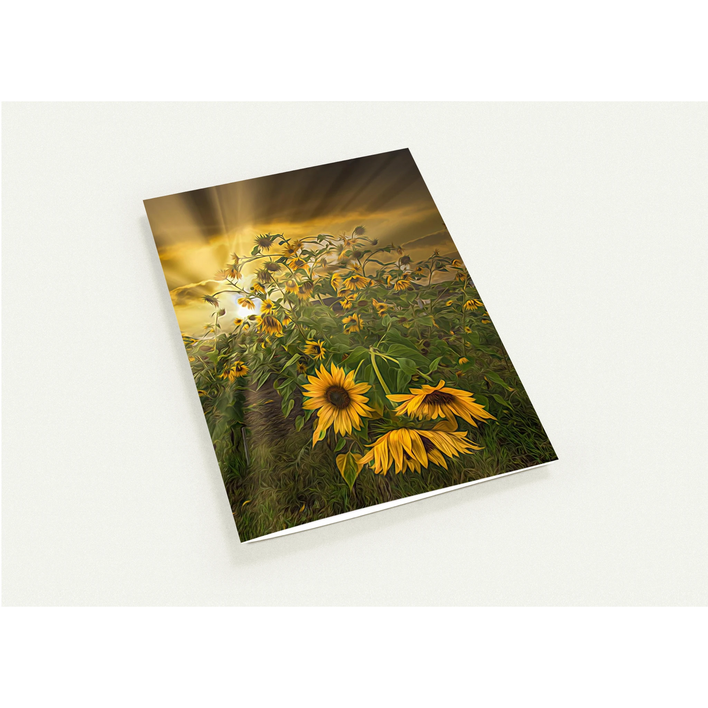 0cb5c0cf-0c51-4d55-a1b5-7226e04ab64b