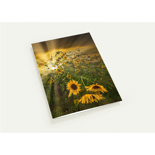 0cb5c0cf-0c51-4d55-a1b5-7226e04ab64b