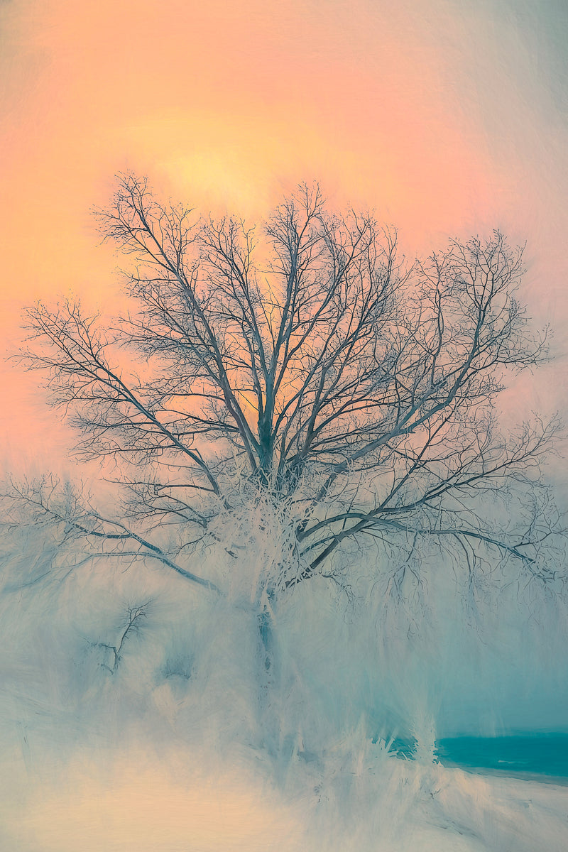 Whispers Of A Frozen Dawn
