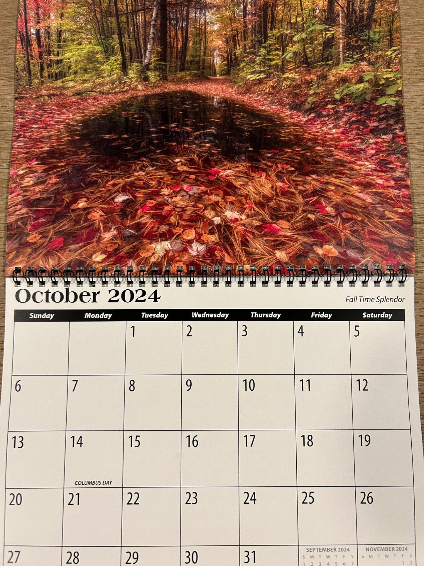 2024 Mark Lindsay Calendar