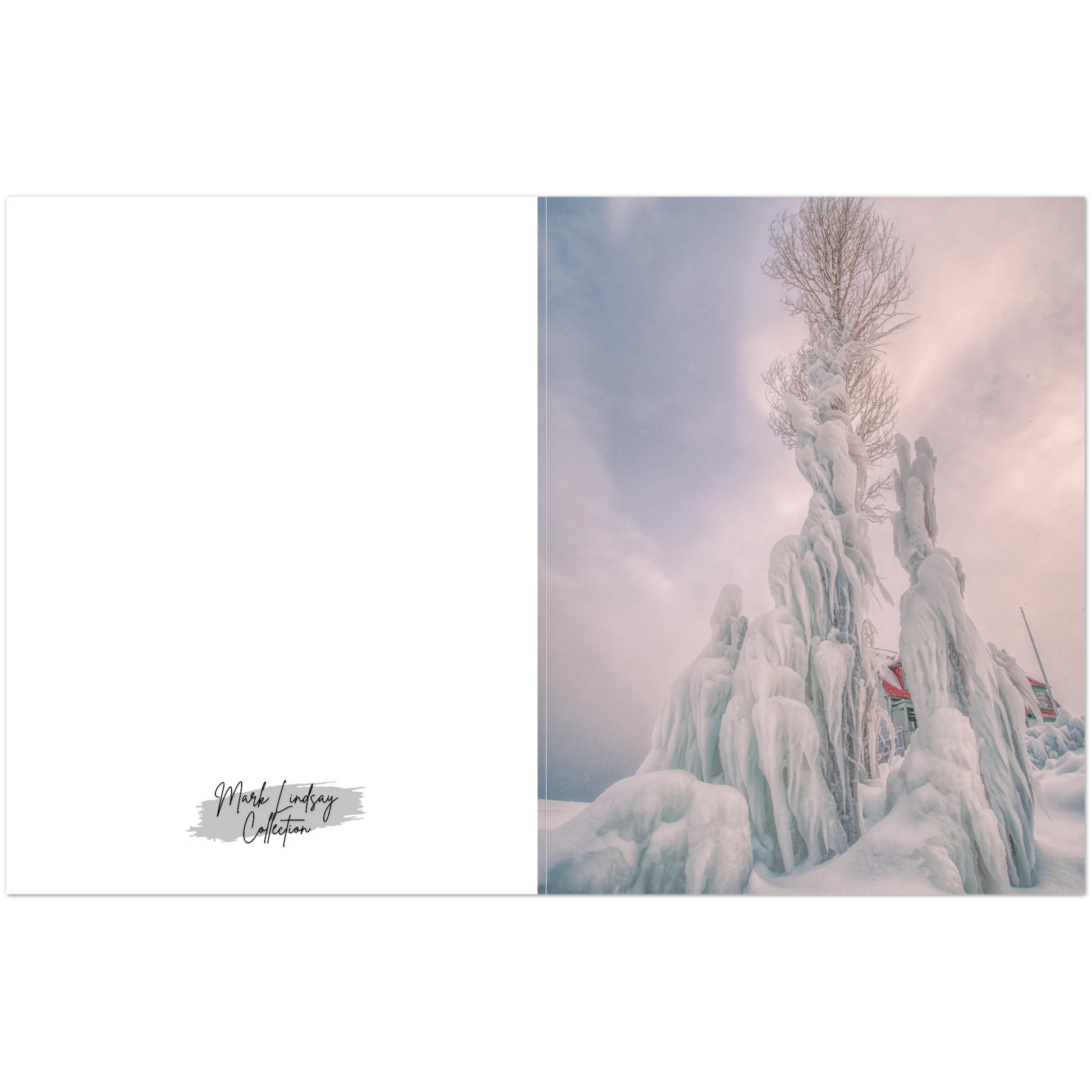 3445c0a5-8ce2-4508-8607-77e3af9731a7