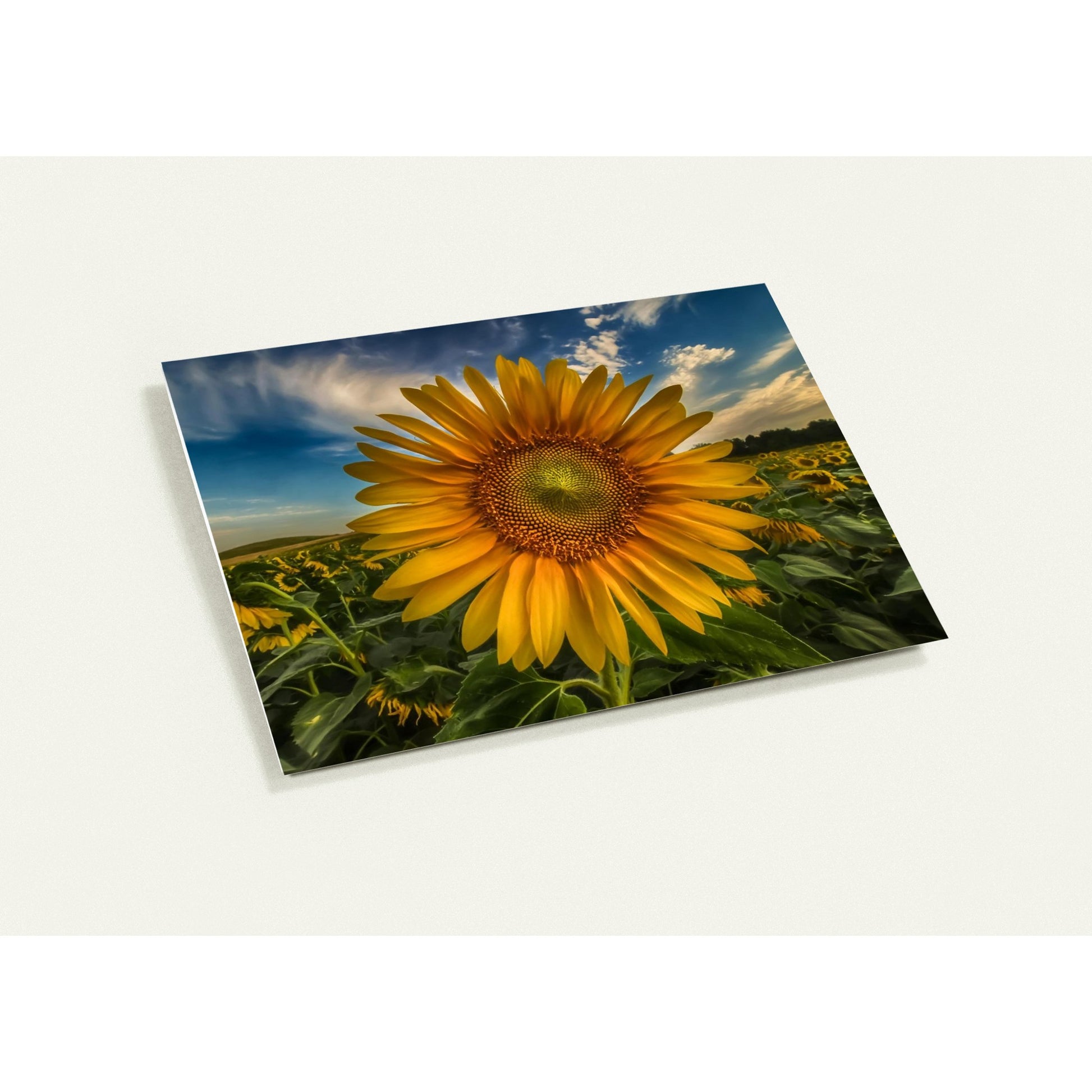 3caa0585-b320-45ed-b4ea-4d95b111b56a