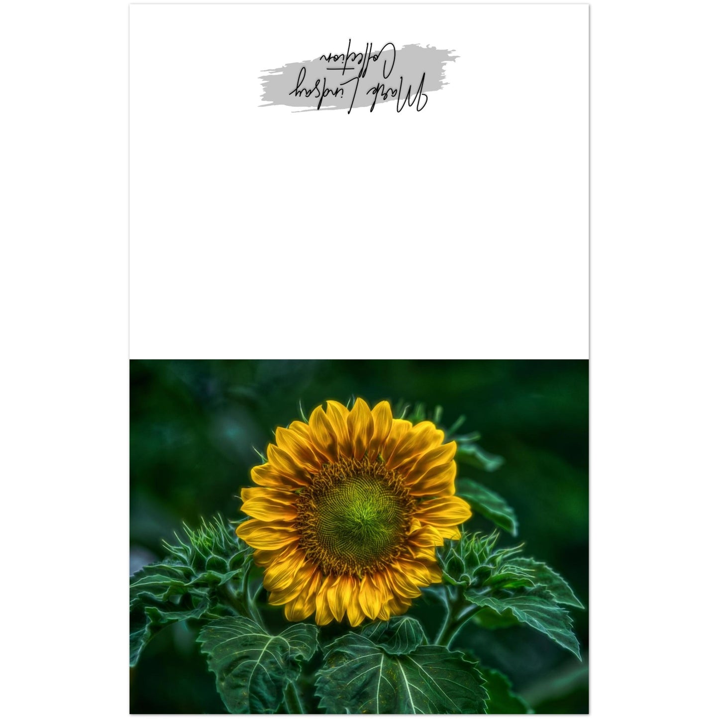 47f735c4-0b98-4e6c-8018-44f8bcce83a3