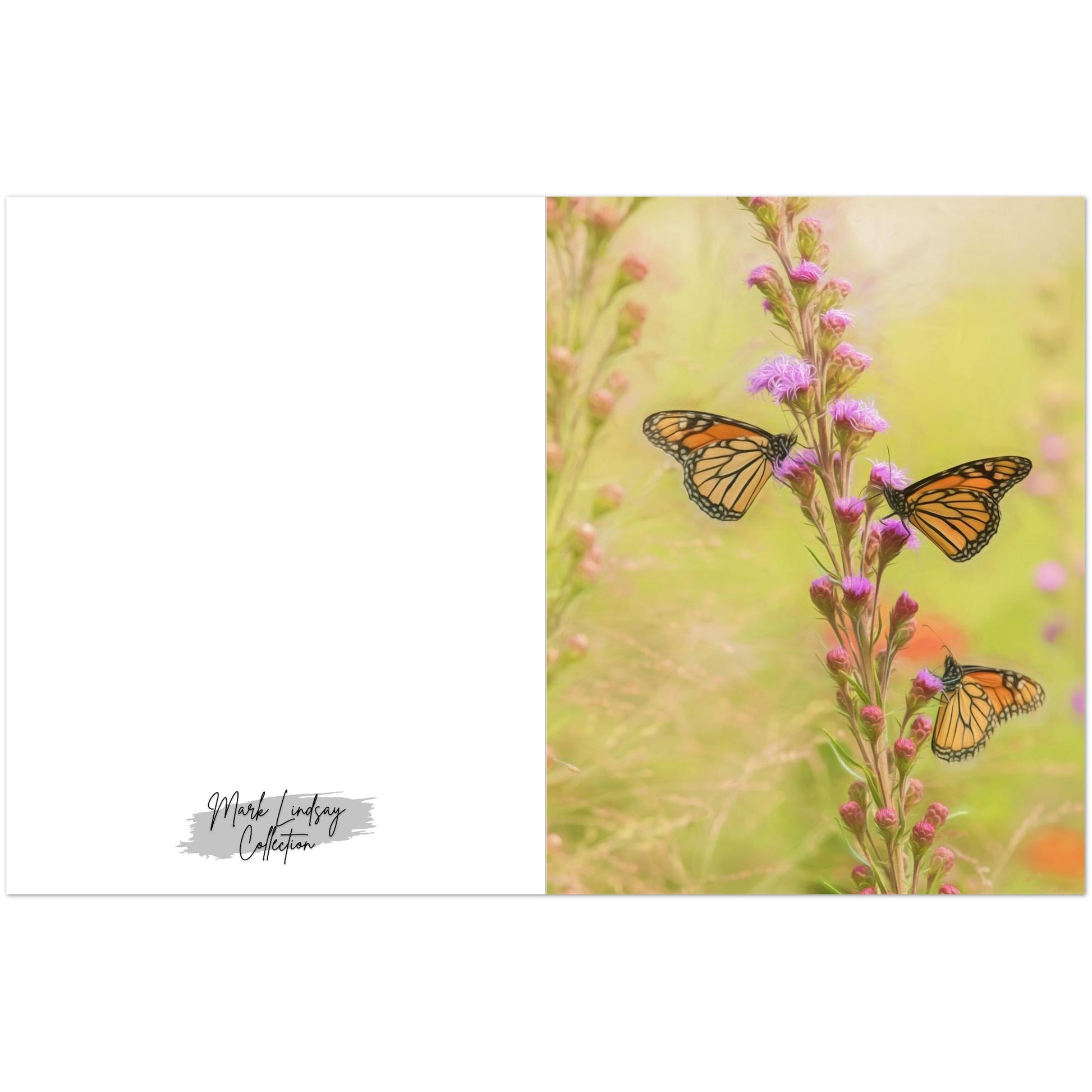 48c84c8b-df47-4828-bdb6-7ec0c578f821