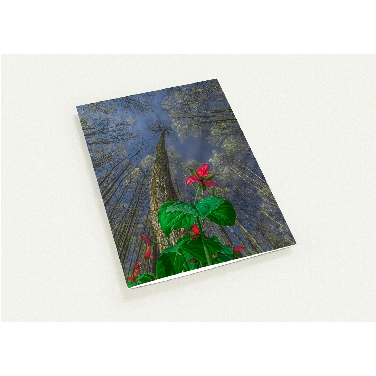 523d782a-ebe0-47e7-8b74-0705829c3b2c