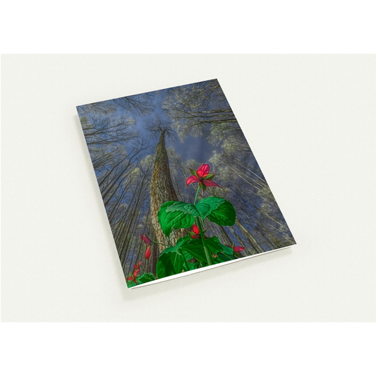 523d782a-ebe0-47e7-8b74-0705829c3b2c