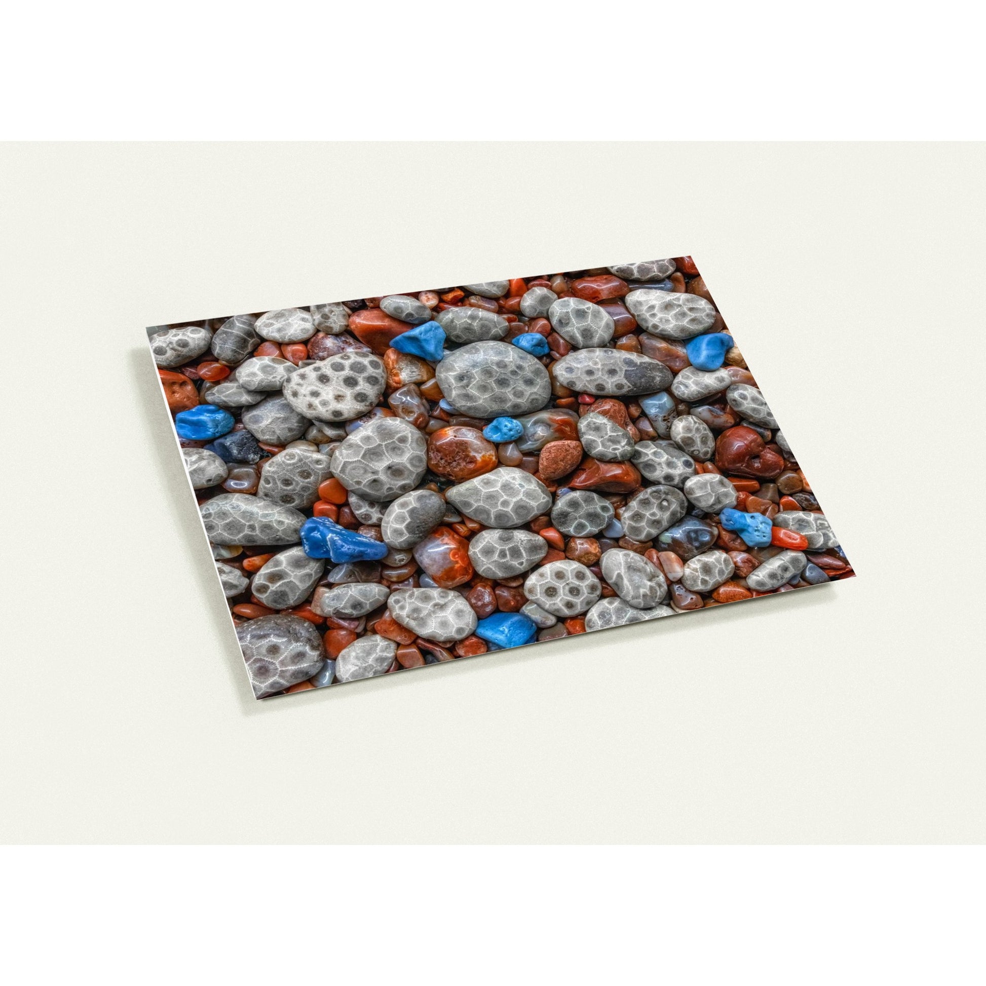 6cb1086f-2138-4a46-a6a3-a9bb0d837b4b