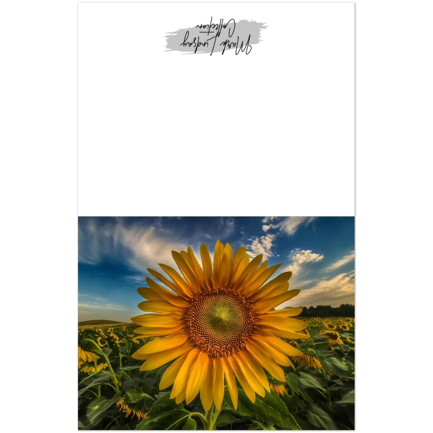 70b43729-1bd5-4e9b-8409-ba029a56afd4