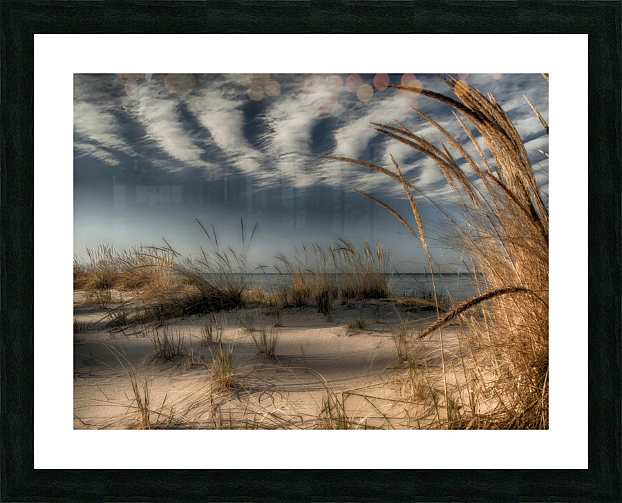 718398 :: Framed Print