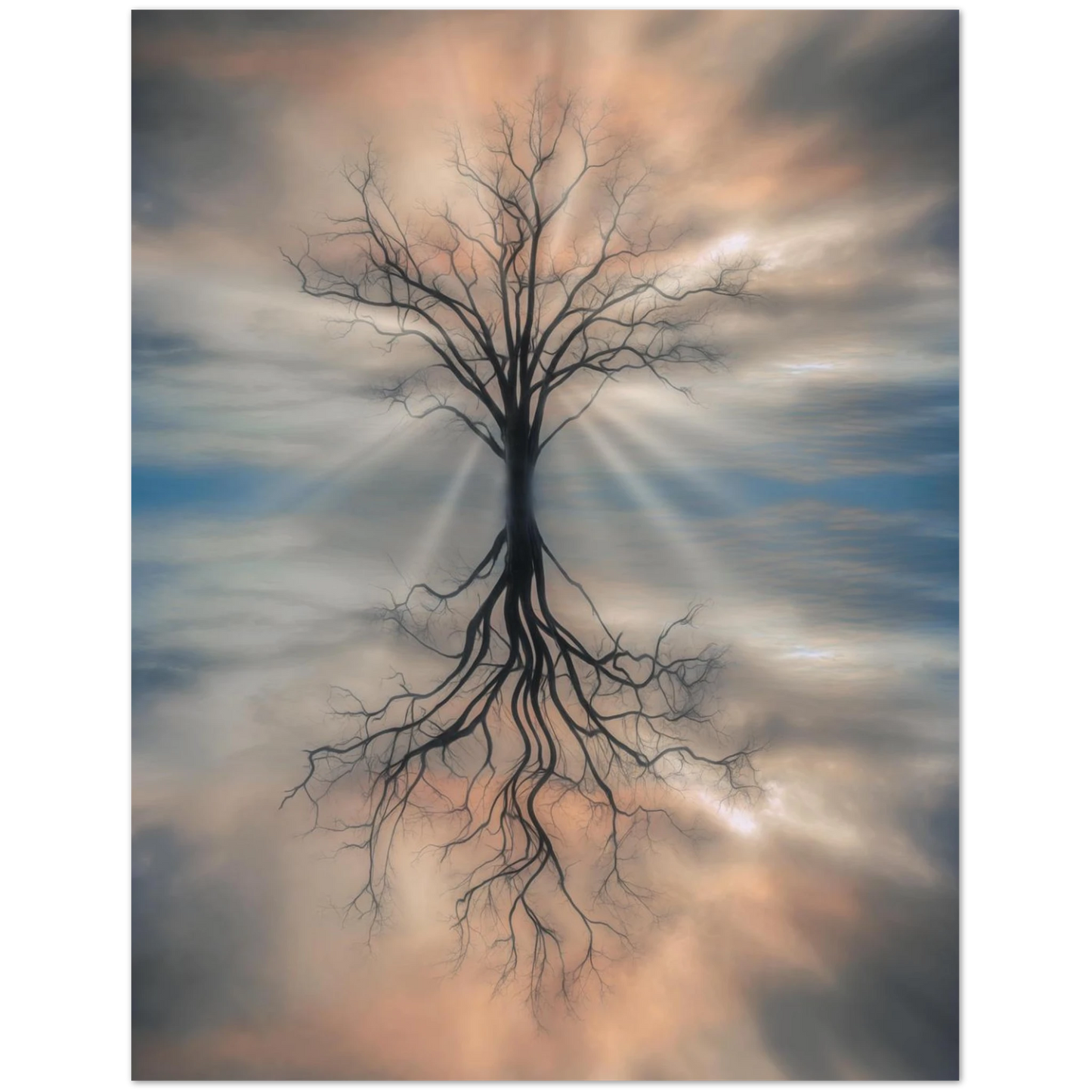 75faa687-9db6-4281-aad3-b25689a31a55