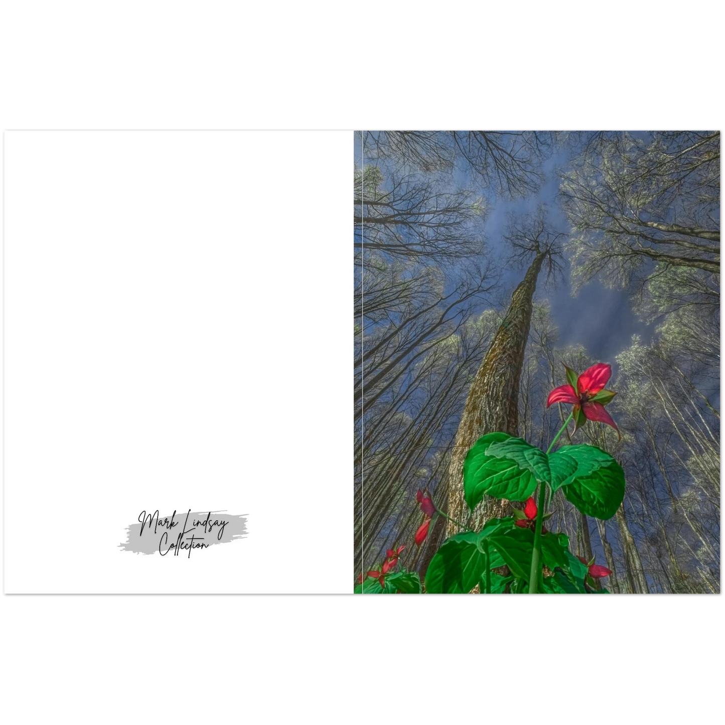 7c6ce247-fd82-4542-88a3-7f1be4989359