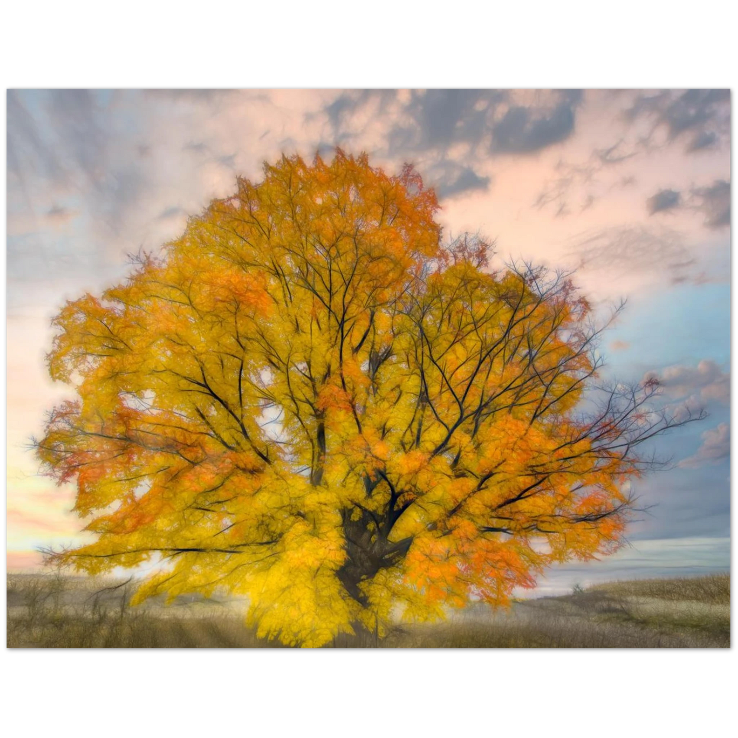 7d56066a-514a-4998-86d5-2d8348467630