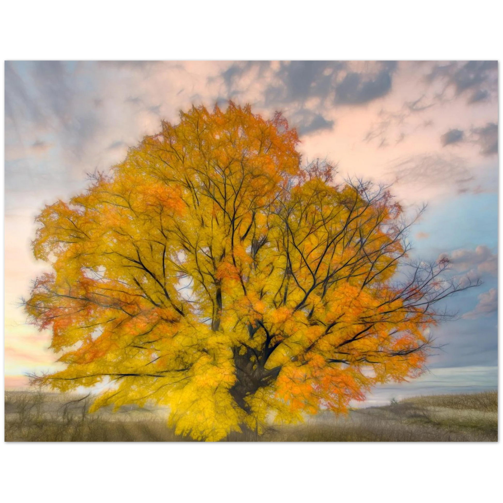 7d56066a-514a-4998-86d5-2d8348467630