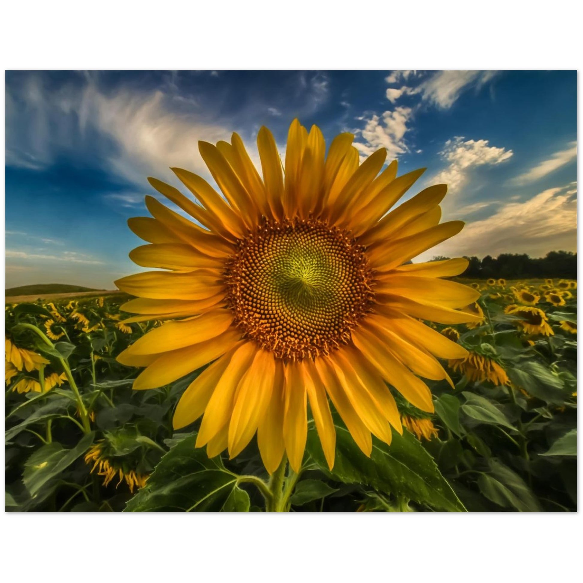 7e16256b-1cbc-464b-a896-c71e05db73bf