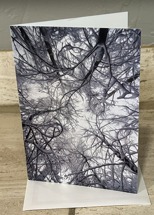 Trees Above--10 card pack