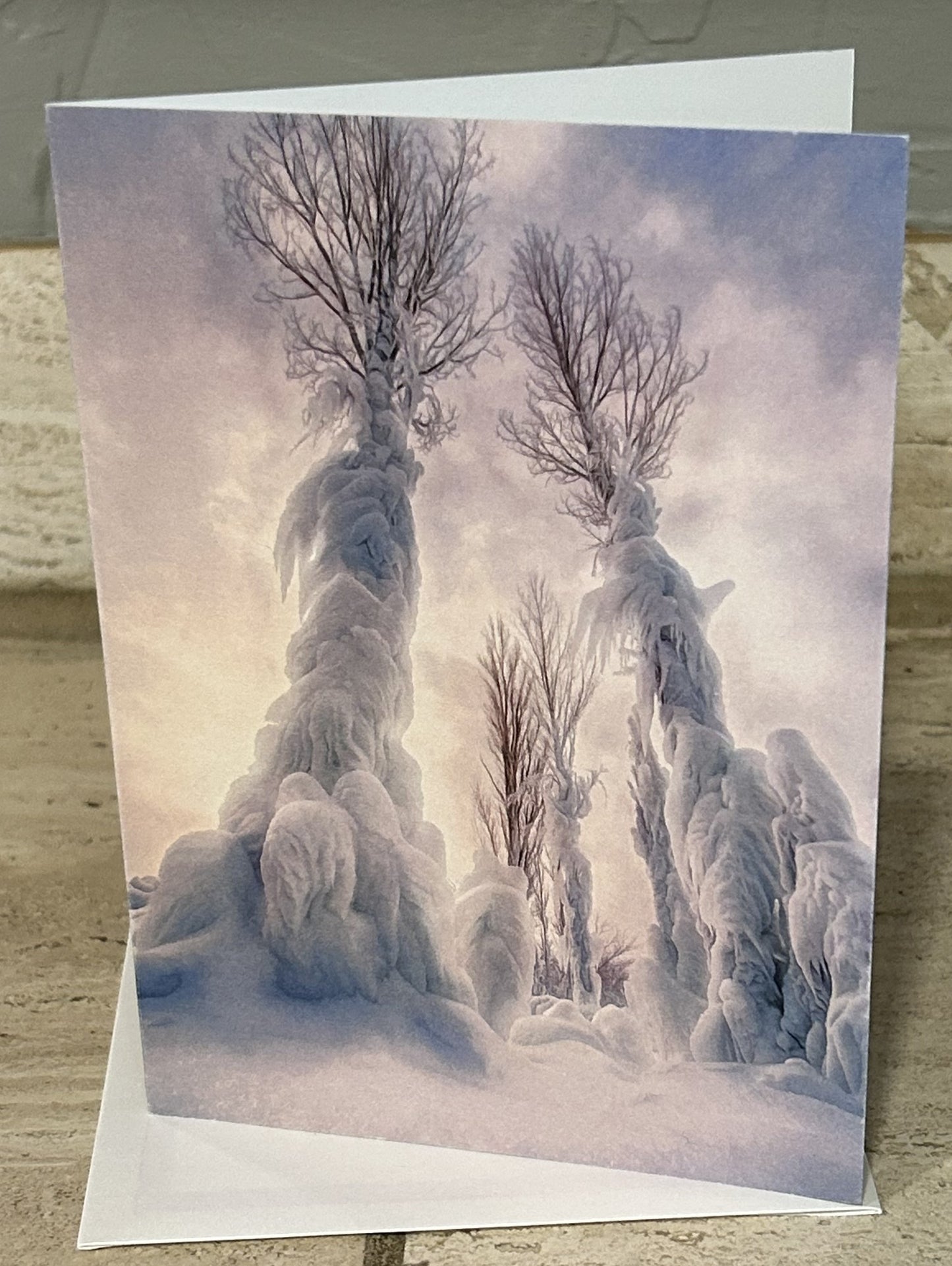 Winter's Grip--10 card pack