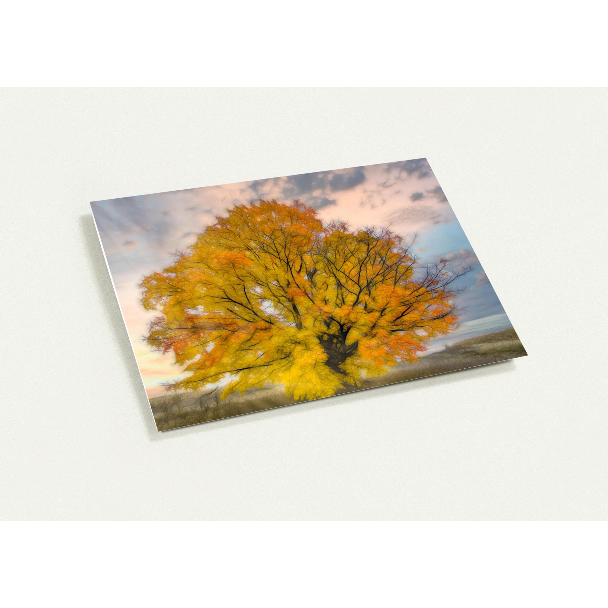 a236a40c-6a88-4925-a7fe-7b6017edf71d