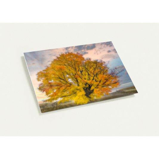 a236a40c-6a88-4925-a7fe-7b6017edf71d