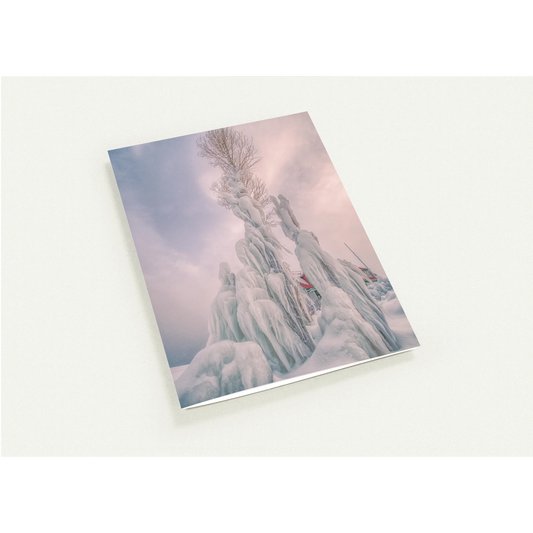 ae53cd16-ed7f-4017-984e-6095dde9948a