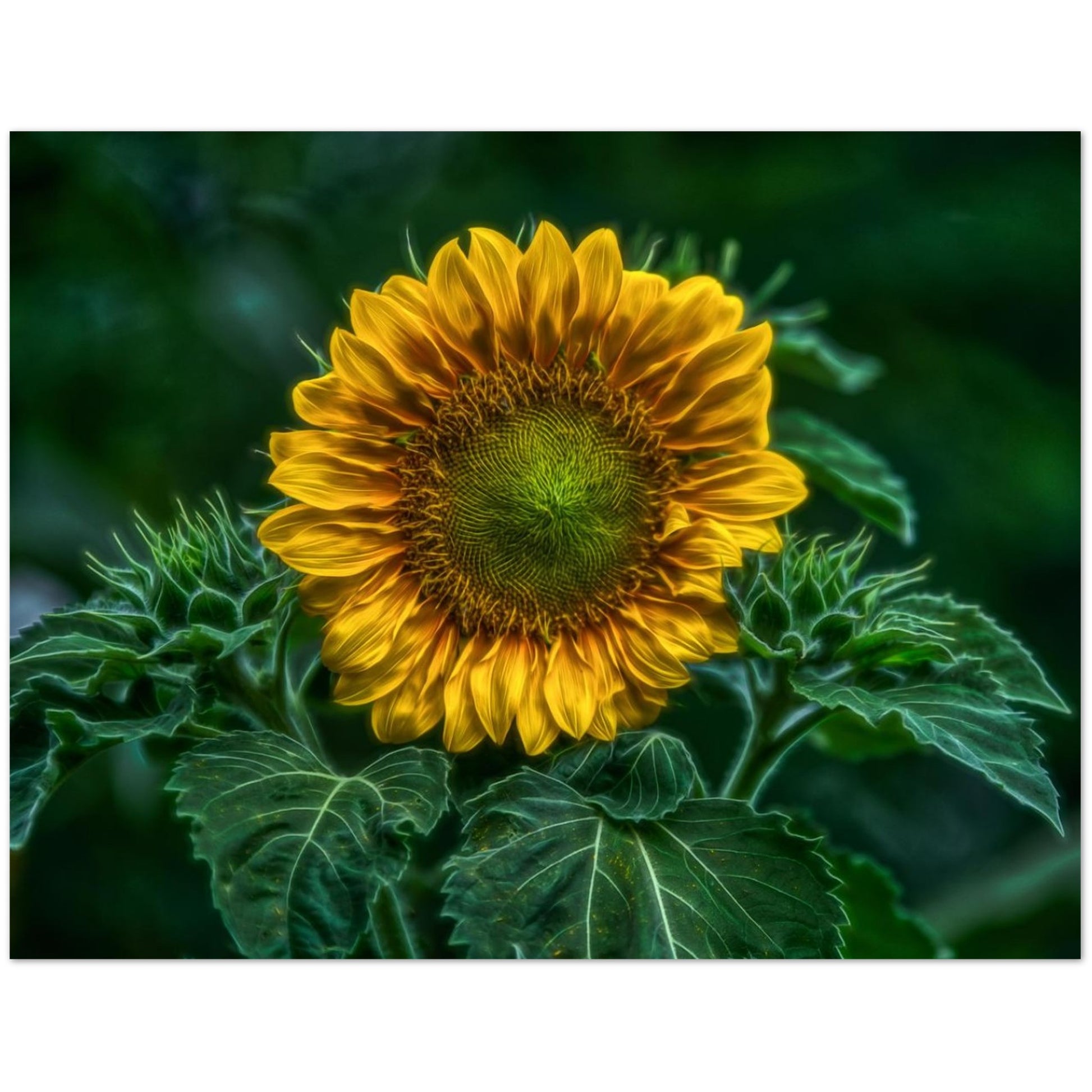 be534b9d-6430-4e94-bbf6-b1b6e82d215c