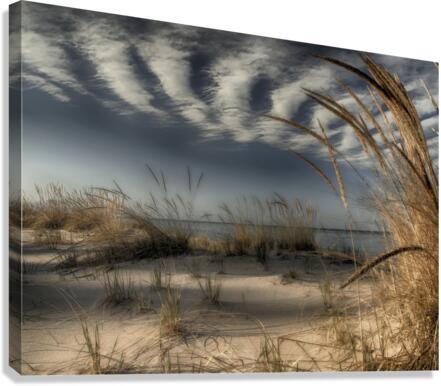 718398 :: Giclée Stretched Canvas Print