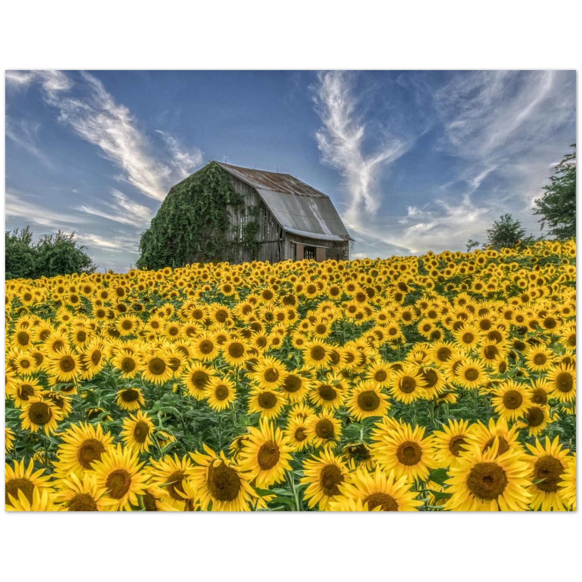 c058d449-f372-4716-910d-c533b14fc188