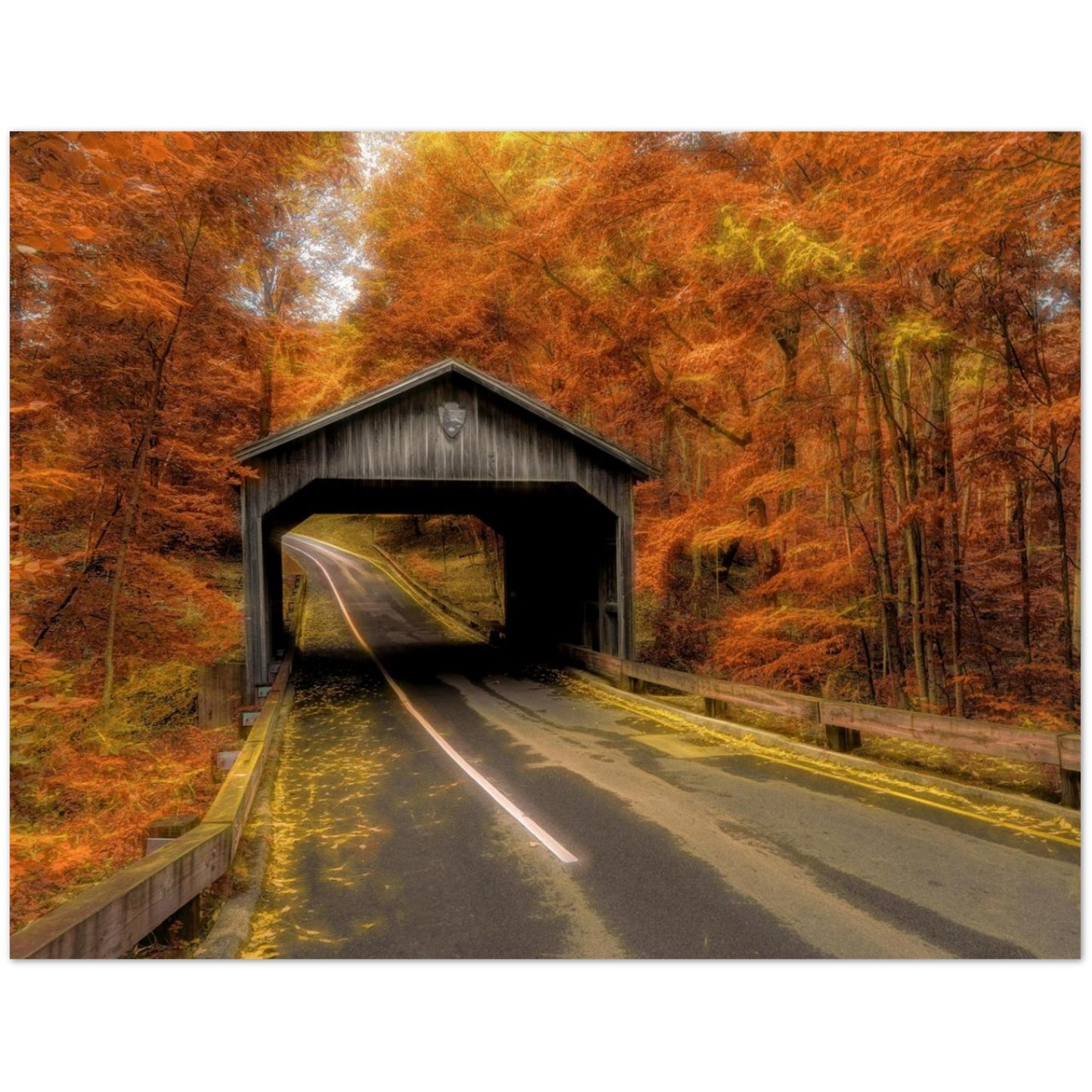 d8d0dc88-9b10-496d-a531-a103ebb84773