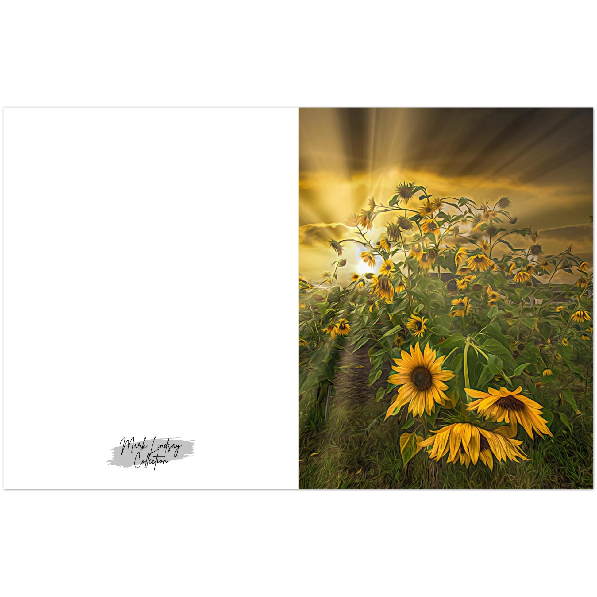 e3001965-2df5-4ee3-9d2d-c7ef3ea2aafb